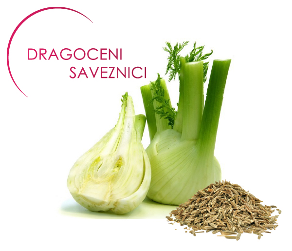 lactil-dragoceni-saveznici